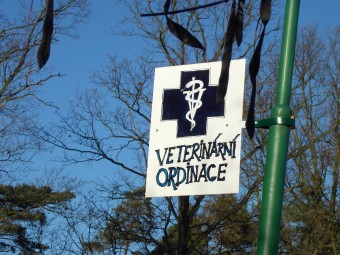 03 Ordinace �eperka